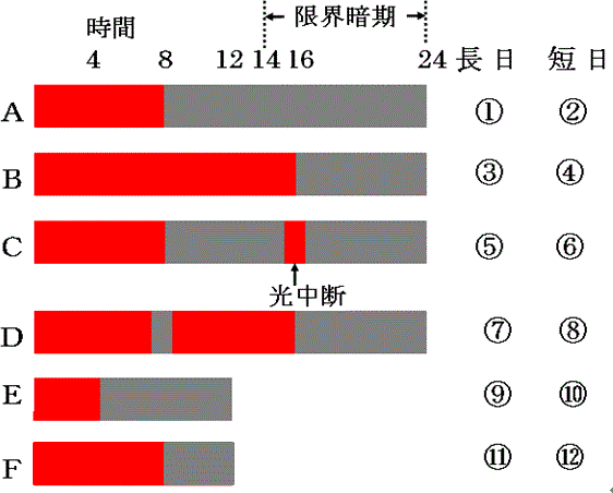 ☆センター試験対策、図表総特集（私が作ったセンター関連図掲載